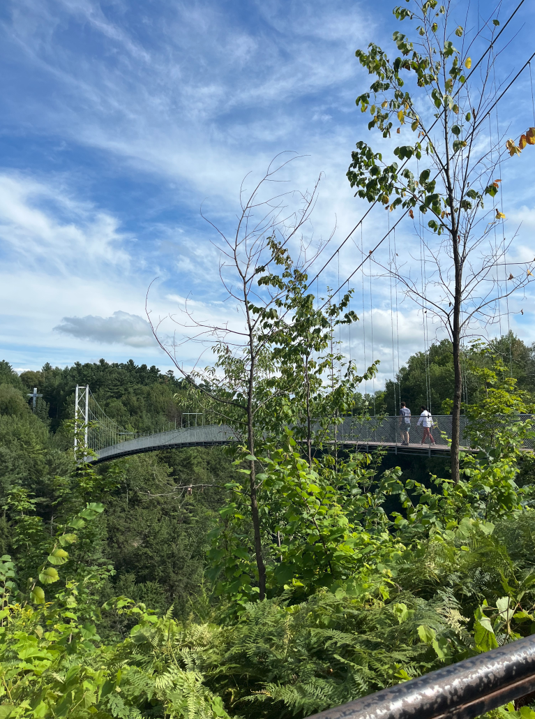 Mini putt outing 3